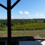 vue sur vignobles depuis terrasse