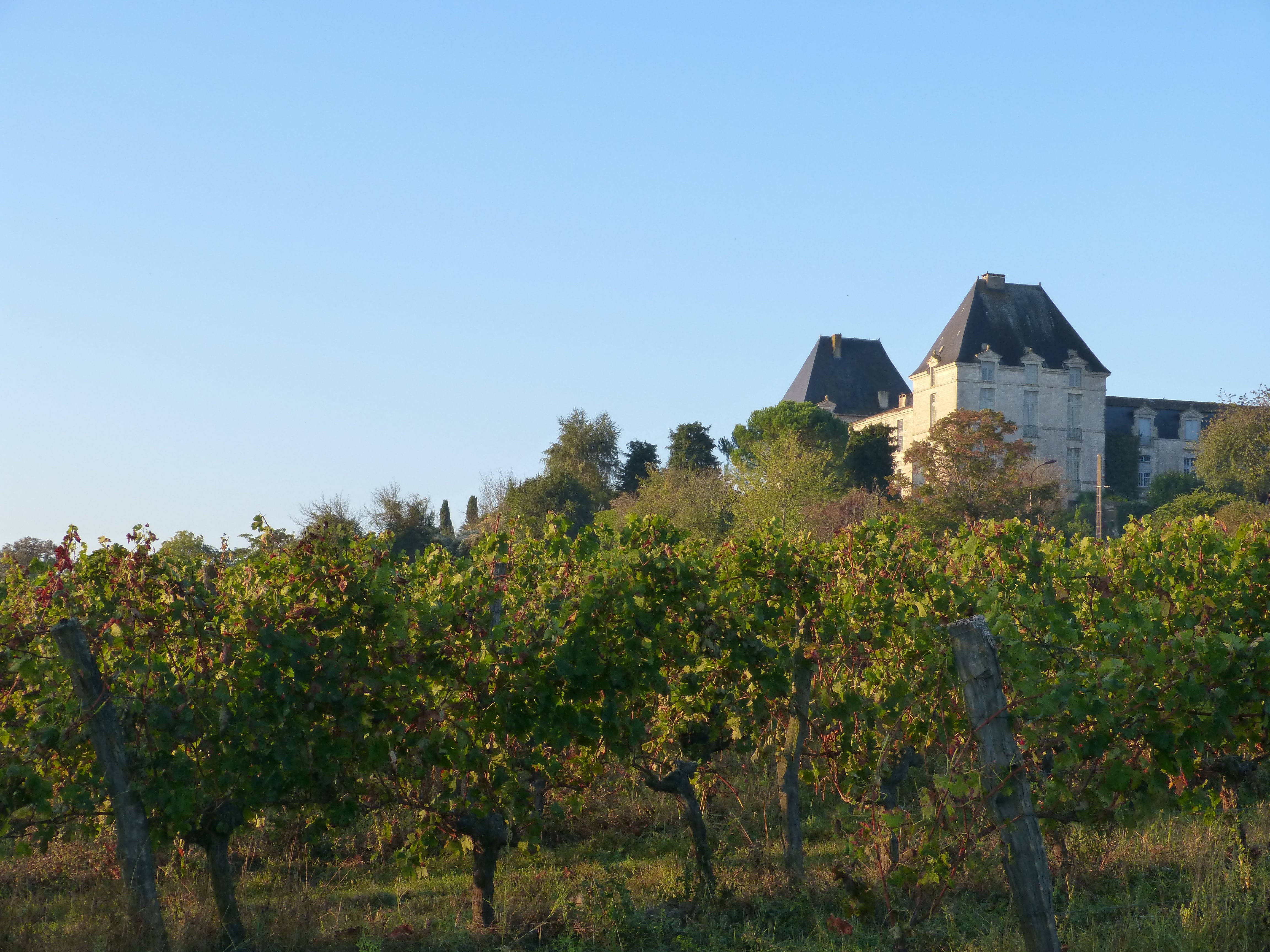photo chateau de Saussignac